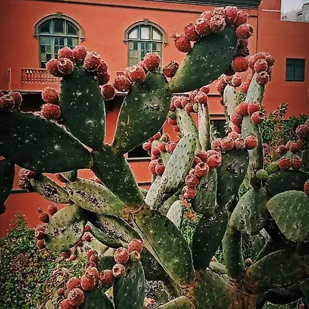 度假居 Casa De Guia *